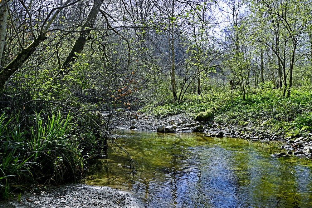 Le Buron