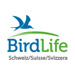 BirdLife